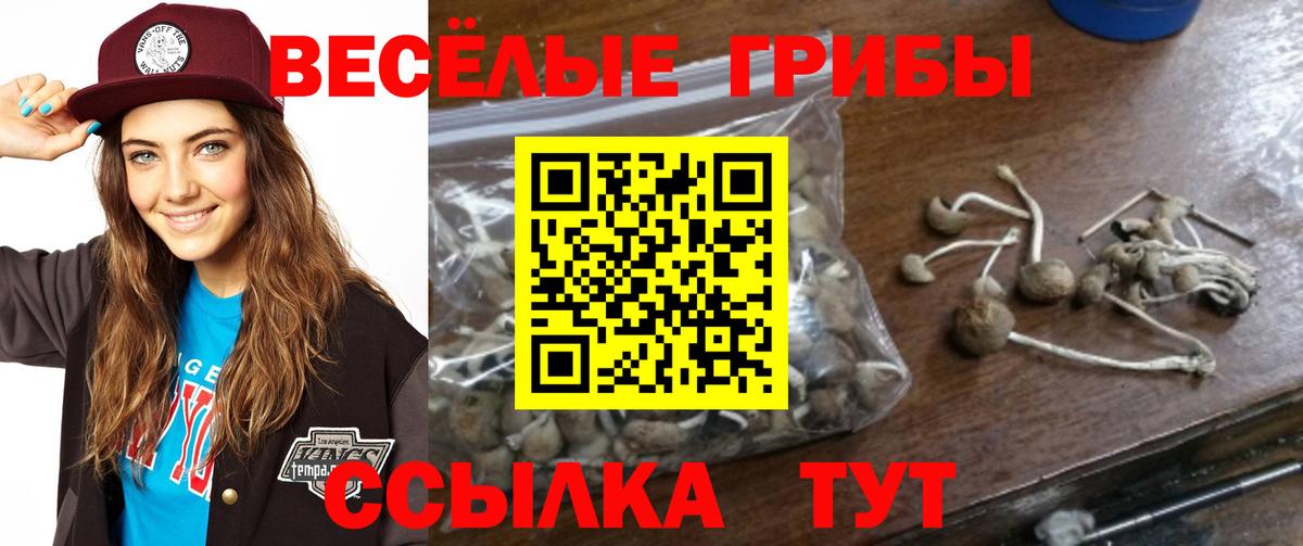 Галлюциногенные грибы GOLDEN TEACHER Гагарин